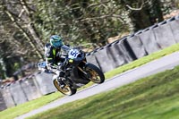 Oulton-Park-20th-March-2020;PJ-Motorsport-Photography-2020;anglesey;brands-hatch;cadwell-park;croft;donington-park;enduro-digital-images;event-digital-images;eventdigitalimages;mallory;no-limits;oulton-park;peter-wileman-photography;racing-digital-images;silverstone;snetterton;trackday-digital-images;trackday-photos;vmcc-banbury-run;welsh-2-day-enduro